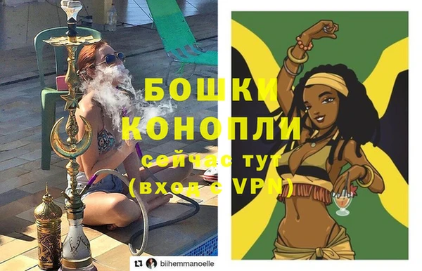МДПВ Дмитриев