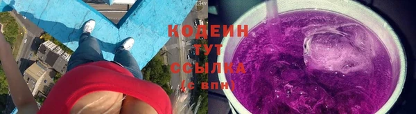 МДПВ Дмитриев