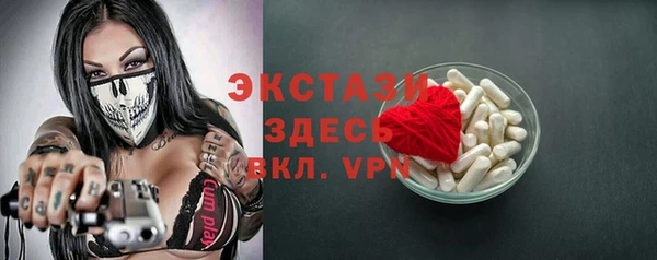 МДПВ Дмитриев