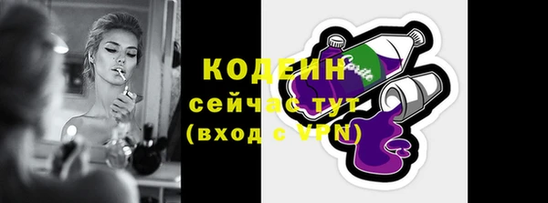 МДПВ Дмитриев