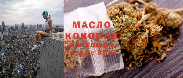 МДПВ Дмитриев