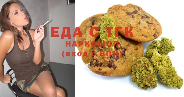 МДПВ Дмитриев