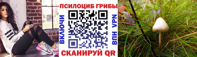 Галлюциногенные грибы Magic Shrooms  blacksprut зеркало  Стерлитамак 